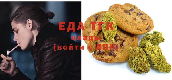 шишки Новодвинск