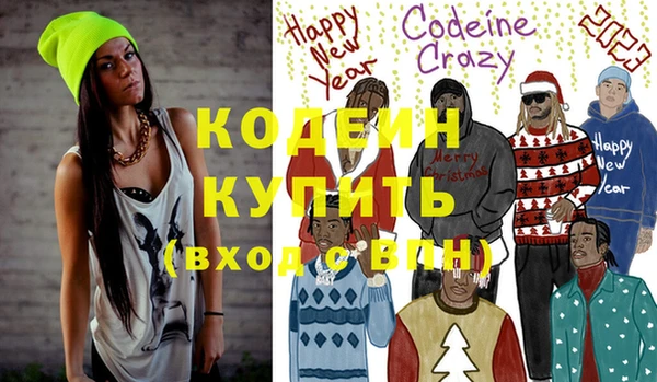 шишки Новодвинск