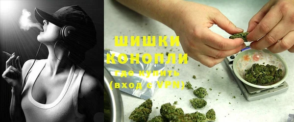 ГАЛЛЮЦИНОГЕННЫЕ ГРИБЫ Алексин