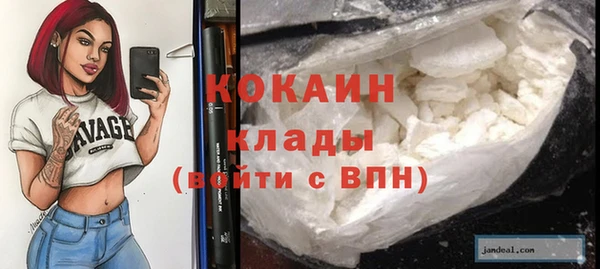 ГАЛЛЮЦИНОГЕННЫЕ ГРИБЫ Абаза
