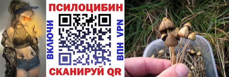 хочу   Мыски  Галлюциногенные грибы Psilocybine cubensis 