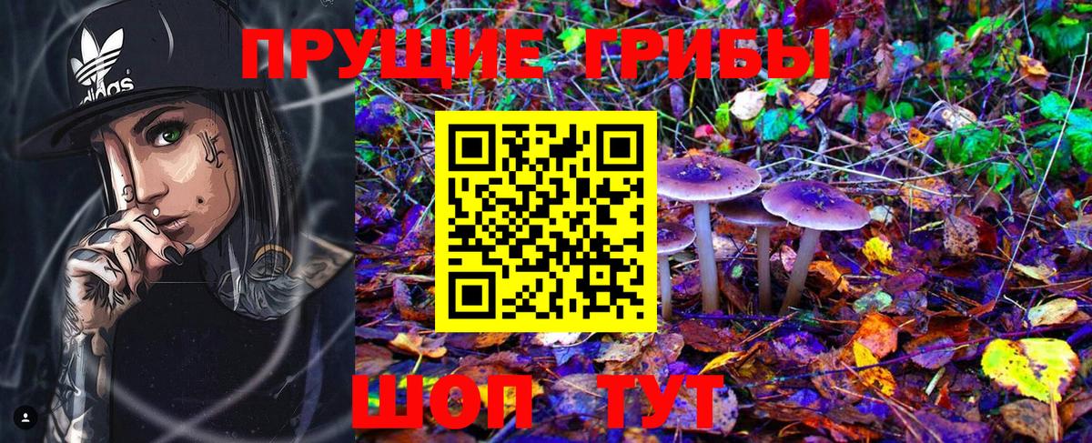 Псилоцибиновые грибы Magic Shrooms  Вход с VPN  Галлюциногенные грибы Cubensis  Мыски 